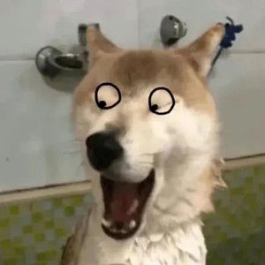 Meet your Posher, Timothy